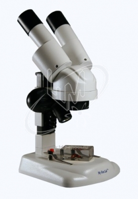 Стереомикроскоп - Микромир в 3 D